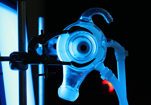 ART FROM SYNTHETIC BIOLOGY 