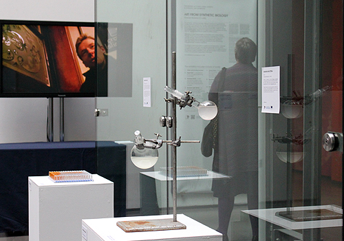 Exhibition View