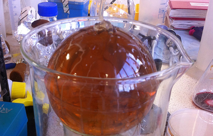 Preparing 'Bacterial World' - casting hot agar
