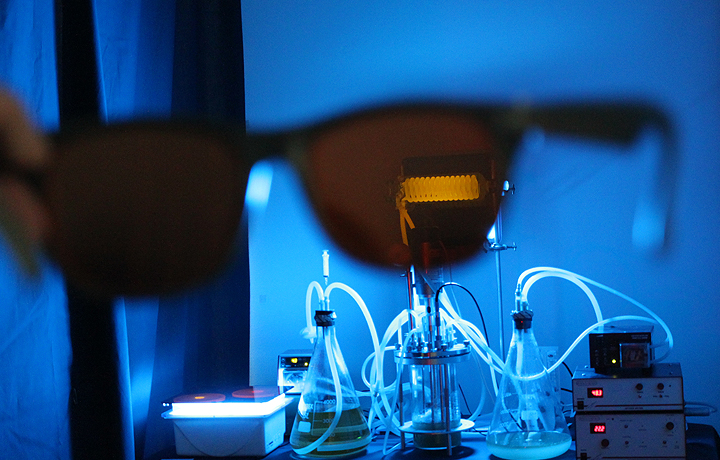 Viewing 'Stress-o-stat' in the special tent set up with polarised glasses used to reveal light emitting bacteria during 