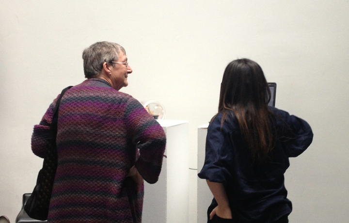 Maria Kyprianou showing the prototype for the developing artwork 'Living Mirror'.
