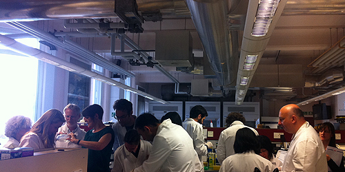 SYNTHESIS: SYNTHETIC BIOLOGY IN ART & SOCIETY