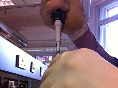 Protocell experiment, Synthesis, UCL, London, UK, 2011.
