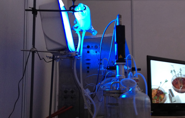Stress-o-Stat, IIT Bombay, Techfest, January 2012
