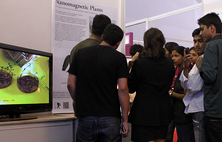 Explaining Nanomagnetic Plants, IIT Bombay, Techfest, January 2012