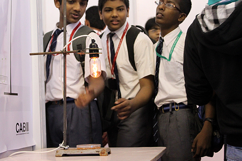 Nanomagnetic Plants, IIT Bombay, Techfest, January 2012