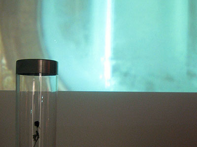 c-lab, The Martian Rose, Telling Places - Photo by Inga Voldhaug 