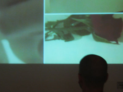 c-lab, The Martian Rose, Telling Places - Photo by Inga Voldhaug 