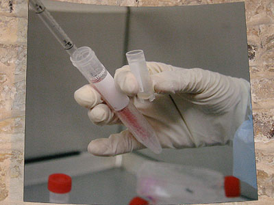 Bioteknica,Teratologies, Unsafe Distance, Enter3, Prague, 2007