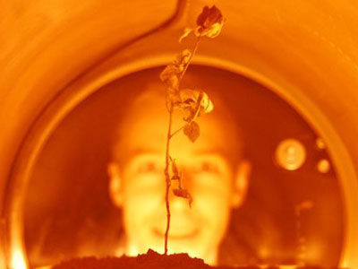 c-lab, The Martian Rose, Unsafe Distance, Enter3, Prague, 2007 - Photo by Jonathan Lawton