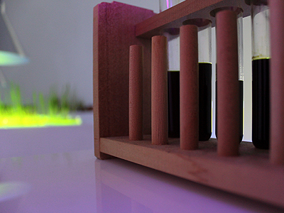 Side view of chlorophyll extract in test tubes, 14 January 2011. 