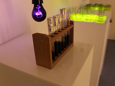 Chlorophyll extract in test tubes, 13 January 2011.