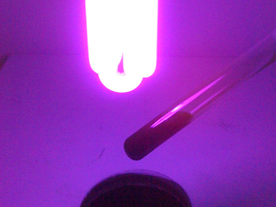 Red glow of chlorophyll extract, 14 January 2011. 