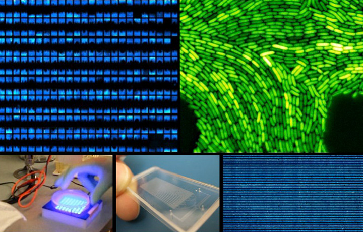 Image sequence from Synthetic Biology (Howard Boland)