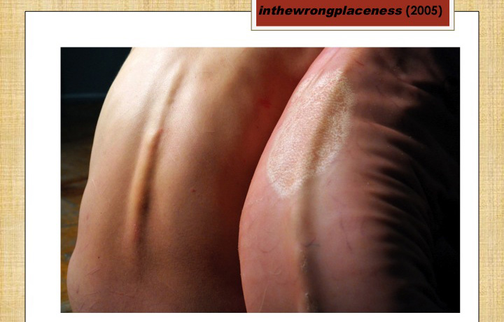 Image slide from Rosemary Deller's presentation: Out of the lab, into the gallery: Contemporary art encounters 'Artifici