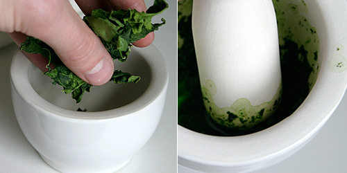 The leaves are&nbsp;placed in a mortar, with a dash of&nbsp;ethanol or&nbsp; isopropanol&nbsp;(5-10 ml) and grounded wel
