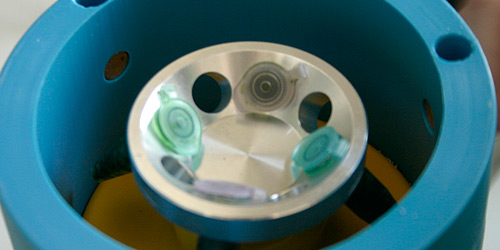 The small microtubes are filled with the mixture of alcohol and leaves.