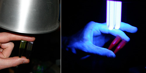 Under normal light the chlorophyll in normal light is of course green but with a UV light, the purified chlorophyll with
