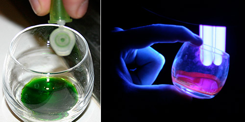 The UV light shows what&nbsp;happens as the chlorophyll reacts with light. Excited electrons are pushed away from its gr