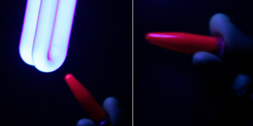 Under normal light the chlorophyll in normal light is of course green but with a UV light, the purified chlorophyll with