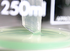 &copy; c-lab 2004, this seperates cell wall material
