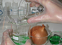 &copy; c-lab 2004, dissolve with water
