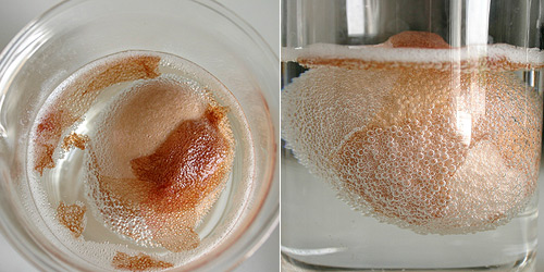 Immediately bubbles (carbon dioxide) formed on the surface of the egg. Vinegar causes egg shell (calcium carbonate) to d