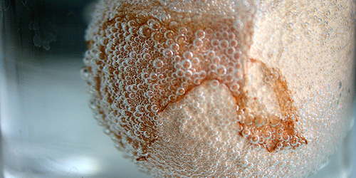 Immediately bubbles (carbon dioxide) formed on the surface of the egg. Vinegar causes egg shell (calcium carbonate) to d