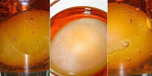 One of the 'shell-less' egg was placed in syrup solution (the other egg remains in vinegar solution), 28 May 2007. 