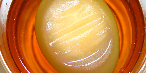 The following day, noted that the egg in the syrup had shrivelled up, water moved out of the egg (hypertonic), 29 May 20