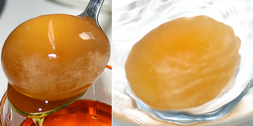 The shrivelled up egg was transferred into water solution, 29 May 2007. 