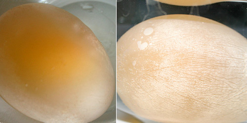 The egg in water solution starts to enlarge to original size. But stayed at equilibrium and was same size as the eggs in