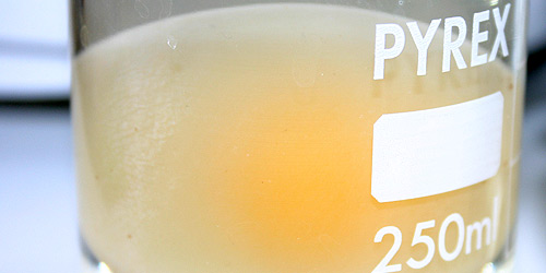 The egg in the vinegar solution enlarged, water moved into egg (hypnotic), 30 May 2009. 