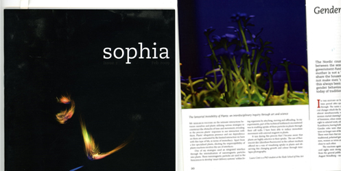 Sophia, Issue 2, February 2009, pp. 20.