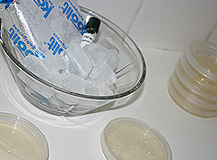 © c-lab 2004, ice bucket with calcium chloride