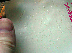 © c-lab 2004, close up of transformed colonies