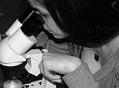 © c-lab 2004, observing transforming colonies in microscope