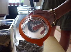 &copy; c-lab 2005, mixture of sterile sand, limestone and compost