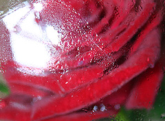 &copy; c-lab 2005, 06.07.2005