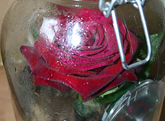 &copy; c-lab 2005, 11.07.2005