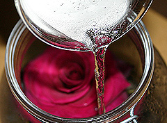 &copy; c-lab 2005, pouring carbon dioxide into greenhouse