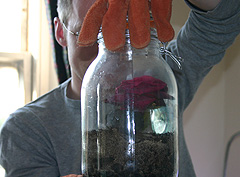 &copy; c-lab 2005, observing changes
