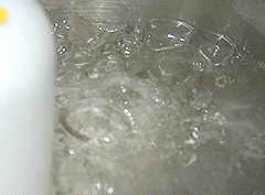 PLAYING WITH BACTERIA