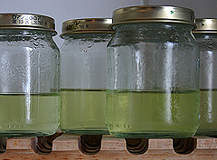 &copy; c-lab 2004, tissue culture media