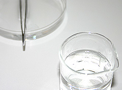&copy; c-lab 2004, tweezers and chlorine solution in beaker