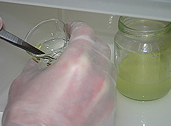 &copy; c-lab 2004, plant tissue removed from bleach solution