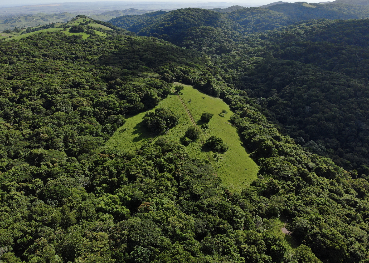 Drone view, DJIMatrice 300 in flight over oNgoye Forest, KwaZulu-Natal, South Africa, 2024. Drone Pilot:  Tim Baker © C-