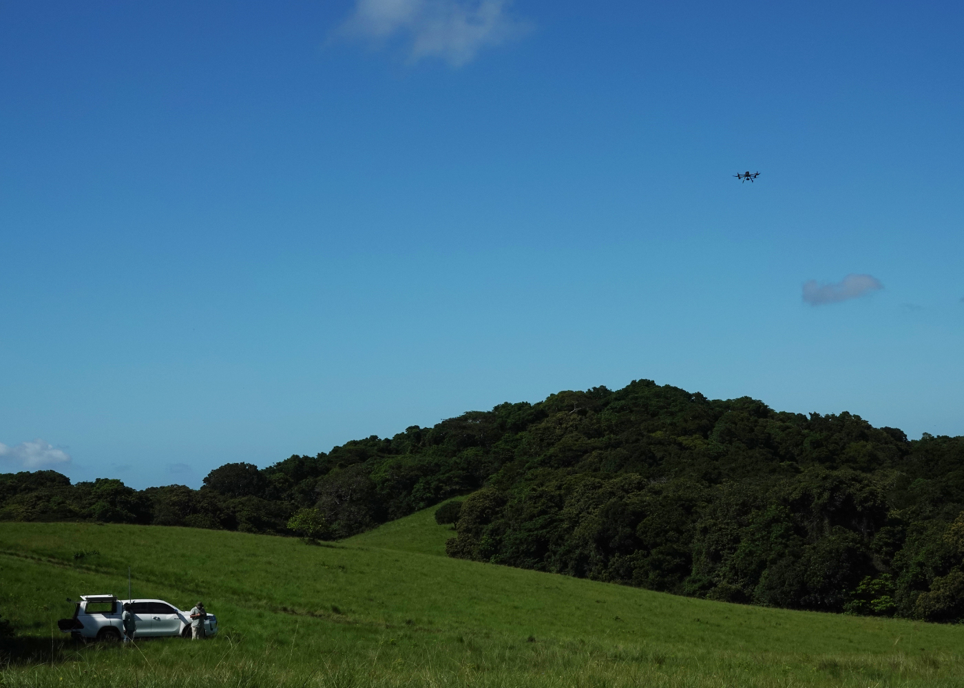 Tim Baker & Neolan Munien, Drone Mission Search for Encephalartos woodii, 2024, oNgoye Forest, KwaZulu-Natal, South Afri