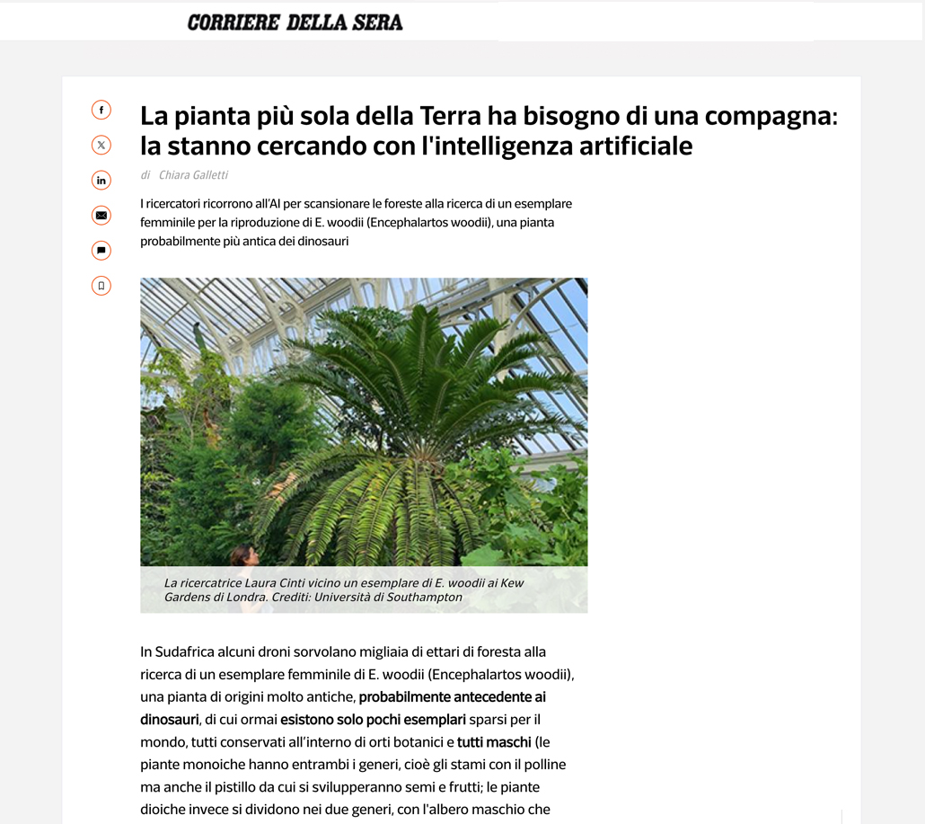 La pianta più sola della Terra ha bisogno di una compagna: la stanno cercando con l'intelligenza artificiale Chiara Gall