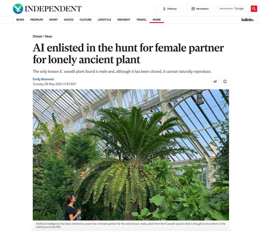 AI enlisted in the hunt for female partner for lonely ancient plant, Emily Beament, Independent (UK), 28 May 2024